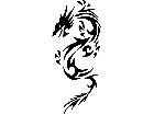  Dragon Tribal 1 6 Decal