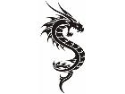  Dragon Tribalized 2 3 5 Decal