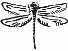  Dragonfly 1 Decal