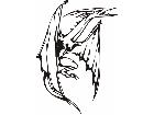  Dragons Fx 0 2 7 Decal