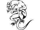  Dragons Fx 0 4 8 Decal