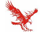  Eagle Body Flaming 0 1 E F 1 Decal