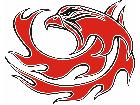  Eagle Flame Multi 0 5 E F 1 C L 1 Decal