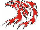  Eagle Flame Multi 1 0 E F 1 C L 1 Decal