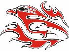  Eagle Flame Multi 2 3 E F 1 C L 1 Decal