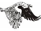  Eagle 0 1 E F 1 Decal