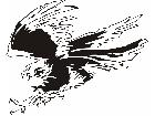  Eagle 1 0 E F 1 Decal