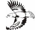  Eagle 1 3 E F 1 Decal