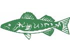 Fish Trout Decal