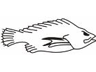  Fish 0 0 0 1 Decal