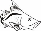  Fish 0 0 0 2 Decal
