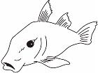  Fish 0 0 0 3 Decal