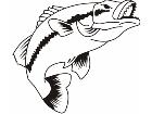  Fish 0 0 0 6 Decal