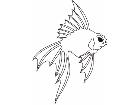  Fish 0 0 1 1 Decal