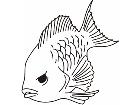  Fish 0 0 1 4 Decal