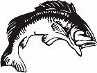  Fish Bass P A 1 Decal