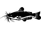  Fish Catfish P A 1 Decal