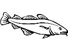  Fish Codfish P A 1 Decal