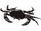  Fish Crab P A 1 Decal