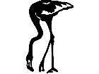  Flamingo Decal