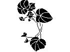  Floral Vine 1 5 4 V A 1 Decal