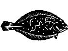  Flounder Fish 1 4 1 V A 1 Decal