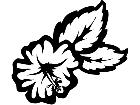  Flower Decal