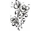  Flowers Tattoo 2 0 0 3 Decal