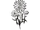  Flowers Tattoo 0 2 7 Decal