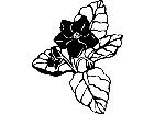  Flowers African Violet 1 5 5 V A 1 Decal