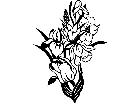  Flowers Bulb 1 5 5 V A 1 Decal