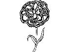  Flowers Carnation 1 5 9 V A 1 Decal