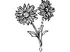  Flowers Chrysanthemum 1 5 9 V A 1 Decal