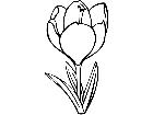  Flowers Crocus 1 5 9 V A 1 Decal