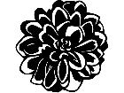  Flowers Dahlia 1 5 6 V A 1 Decal