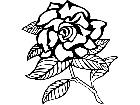  Flowers Gardenia 1 5 9 V A 1 Decal