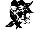 Flowers Johnny Jump Up 1 5 6 V A 1 Decal