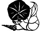  Flowers Morning Glory 1 5 6 V A 1 Decal