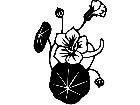  Flowers Nasturtium 1 5 6 V A 1 Decal