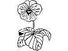  Flowers Pansy 1 5 9 V A 1 Decal