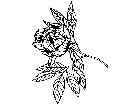  Flowers Peony 1 5 9 V A 1 Decal