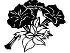  Flowers Petunias 1 5 5 V A 1 Decal