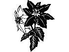  Flowers Poinsettia 1 5 5 V A 1 Decal