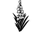  Flowers Yucca 1 5 5 V A 1 Decal