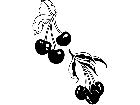  Food Cherries 2 1 6 3 V A 1 Decal