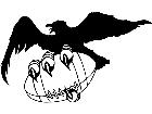  Football Crow Black Bird M B 1 Decal