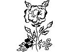  French Country Florals 1 2 1 5 3 V A 1 Decal