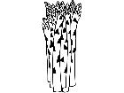  Fruits Vegtables Asparagus 1 6 0 V A 1 Decal