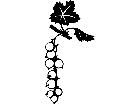  Fruits Vegtables Currants 1 6 1 V A 1 Decal