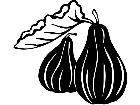  Fruits Vegtables Figs 1 6 0 V A 1 Decal